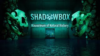 SHADOWBOX Virtual Museum First Look Unveiling Stream [upl. by Krissie]