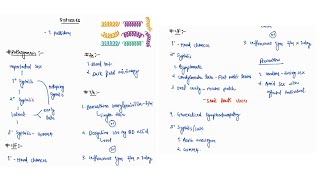 SYPHILIS NOTES  INFECTIOUS DISEASE  MEDICINE  ONE PAGE NOTES  4TH PROFF  MBBS [upl. by Noira388]