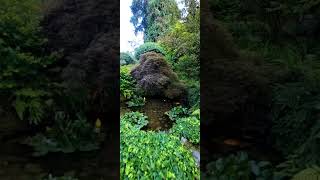 The Butchart Gardens [upl. by Alyt]