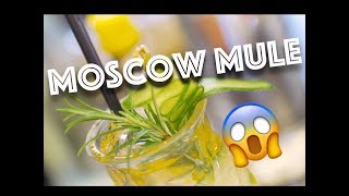 BEST MOSCOW MULE RECIPE VERY EASY TO MAKE [upl. by Pitzer]