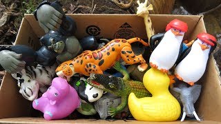 Variety of Zoo Animals for Kids Toy Showcase [upl. by Ninette]