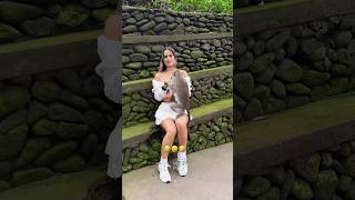 The animals 😂🤣 Fails funnyanimals animalsfunny pets shorts [upl. by Ojela57]