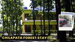 Chilapata Forest Stay I Homestay Inside Chilapata Forest  Forest Location  Wonder Vision Holidays [upl. by Resneps944]