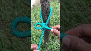 1 Of The Most Practical Knot  You Need To Know 👍 [upl. by Hayidan]