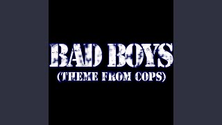 Bad Boys Theme from Cops [upl. by Nosila]