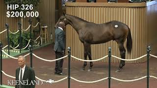 Hip 326 Maxfield  Belle’s Finale sells for 1 million at 2024 Keeneland September [upl. by Dorothy45]