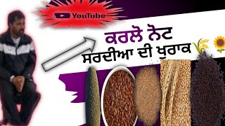 ustad bhuri mahuana karlo note sardi di khurak ਕਰਲੋ ਨੋਟ ਸਰਦੀਆਂ ਦੀ ਖੁਰਾਕ 🌾🌻 pigeon viralvideo [upl. by Ahidam]