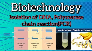 Polymerase chain reaction PCR l isolation of DNA biology [upl. by Patrick593]