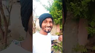 Siseki umarpyalki song music bollywood live hindisong funny लय comedysong [upl. by Annayar107]