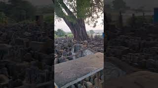 Ghati temple nagamma nagamma 🌺🙏nagathamm trending video ytshorts [upl. by Roach]