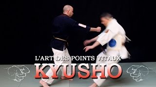 Kyusho Jitsu  l’art des points vitaux [upl. by Maura233]