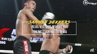 Vicious Muay Thai Transitioning to MMA [upl. by Phio]