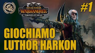 LA COSTA DEI VAMPIRI 1 ⚔️ Total War Warhammer 3  Giochiamo Luthor Harkon [upl. by Tizes]