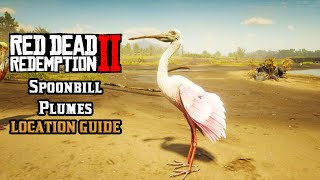 Spoonbill Plumes  Location Guide  Red Dead Redemption 2 [upl. by Ardnad]