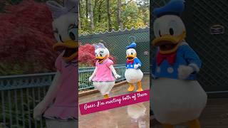 Magical Encounter with Donald and Daisy Duck at Disneyland [upl. by Morven574]