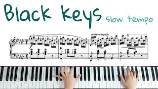 쇼팽 흑건 양손느리게1 악보배우기 Chopin Etude Op10 No5 Black keys BH tutorial [upl. by Lamdin402]