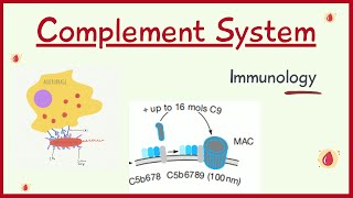 Introduction to Complement System  Immunology  By Madhukar Sir  In hindi [upl. by Fife982]