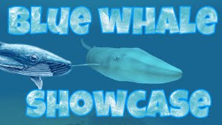 Blue whale showcaseHolocene mobile [upl. by Lovmilla]