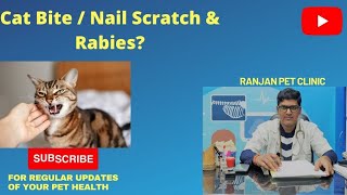 Cat bite  nail scratch amp RabiesDo u need to worry pls like share and comment [upl. by Aleyam]