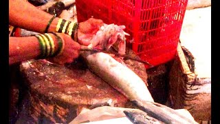 Mori Shark मुशी मासाशार्क How to Cut it Correctly  Dahisar Fish market  Mumbai [upl. by Acquah763]