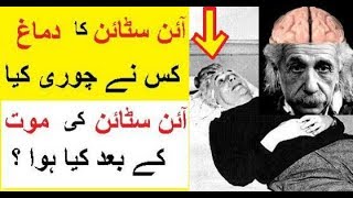 Einstein Ka Dimagh Kis Ne Chori kia  Who Stole Einsteins Brain [upl. by Goldsmith]