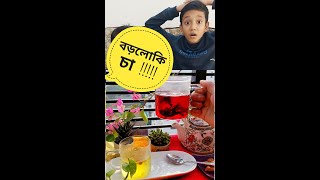 বড়লোকি চা বানিয়ে ফেমাস হয়ে গেলাম Roselle Tea  chamomile tea Funny Video How To Make Colorful Tea [upl. by Zennie]