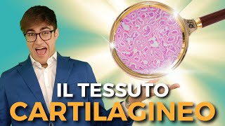 Il TESSUTO CARTILAGINEO in 7 minuti esatti  BIOLOGIA FACILE [upl. by Schwab]