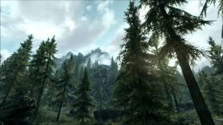 Jeremy Soule  Skyrim Forestpine Daya theme [upl. by Niarbo]