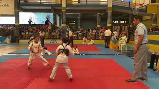 Campeonato Cearense de Karatê [upl. by Nnewg]