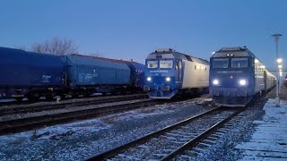 Trenuri  Trains  Titu  10012024 [upl. by Pawsner]