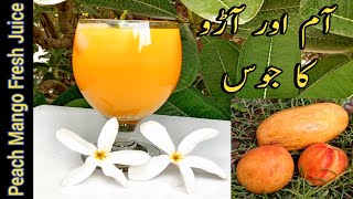 How to Make Peach Mango Juice  Mango Juice  Peach Juice  Mixed Fruit Juice by Arain Kitchen [upl. by Nedrud]