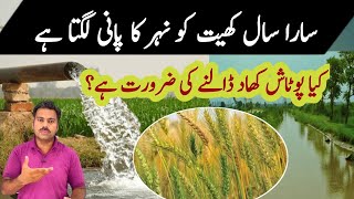 Difference of potash fertilizer application in between canal irrigated and tube well irrigated crops [upl. by Naujik438]