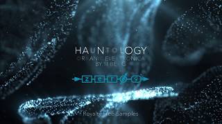 ZeroG Hauntology  Organic Electronica Trailer [upl. by Sergu798]