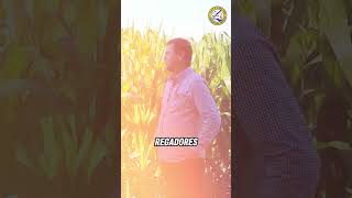 ¿Cómo es un turno en el módulo de riego V1  Jesús de la Rocha agro riego shortsvideo [upl. by Cul682]