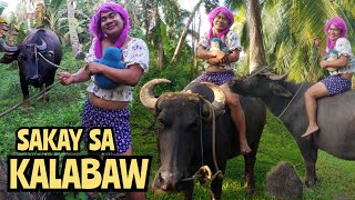 Kalabaw ni Bebang  Madam Sonya Funny Video [upl. by Piggy]