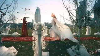 Dubai TV Ident 2013 TVC [upl. by Nylla]