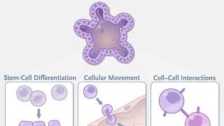 Organoid Technologies in Research [upl. by Niaz]