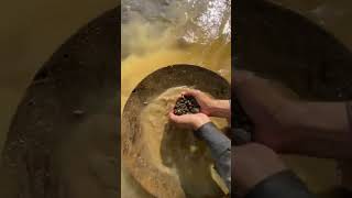 gold prospecting 2024 finding gold in sand gold prospecting for beginners [upl. by Sidoma]