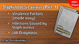 Staphylococcus aureus part1  Virulence factors  Infections  Clinical features  Lab diagnosis [upl. by Aret]