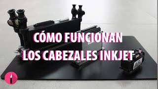 🔴 Cómo FUNCIONAN los CABEZALES INKJET térmicos y piezoeléctricos [upl. by Latvina]