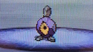 2nd Shiny Roggenrola in Pokémon White [upl. by Halyk]