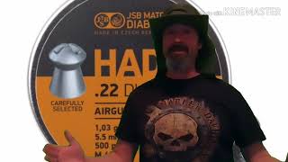 JSB HADES 22 CALIBER REVIEW [upl. by Animor]