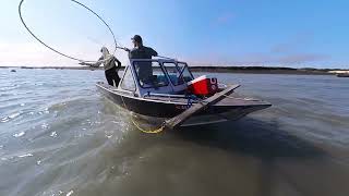 Kenai River Dipnetting  2023 [upl. by Aivull619]