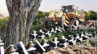 Clearing Wooded Land with Anchor Chain and Bulldozer [upl. by Loseff700]