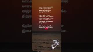 🌷ilayaraja🌷 sbp 🌷tamilmusic 🌷tamil song lyrics 🌷 [upl. by Rhiana560]