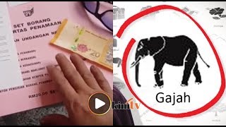 Azwan Ali beli borang calon di SPR pilih logo Gajah [upl. by Ohs35]