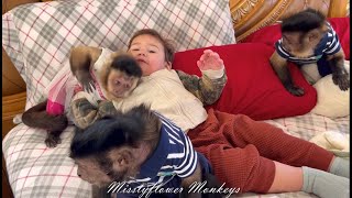 3 Monkeys amp a human baby in bed 😂😍♥️ [upl. by Tyika]