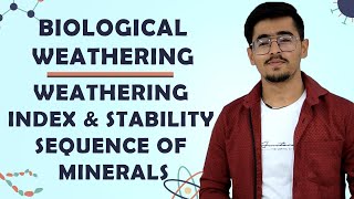 Biological Weathering Of Rocks And Minerals Stability Sequence Of Minerals amp Weathering Index [upl. by Hinze]