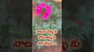 Saha Telugu quotations teluguquotation motivation [upl. by Lennaj]