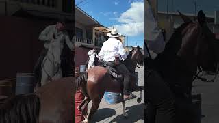 Horse Rider fall at horse riding Festival in Cabalgata Tope Palmares Costa Rica [upl. by Alyse]